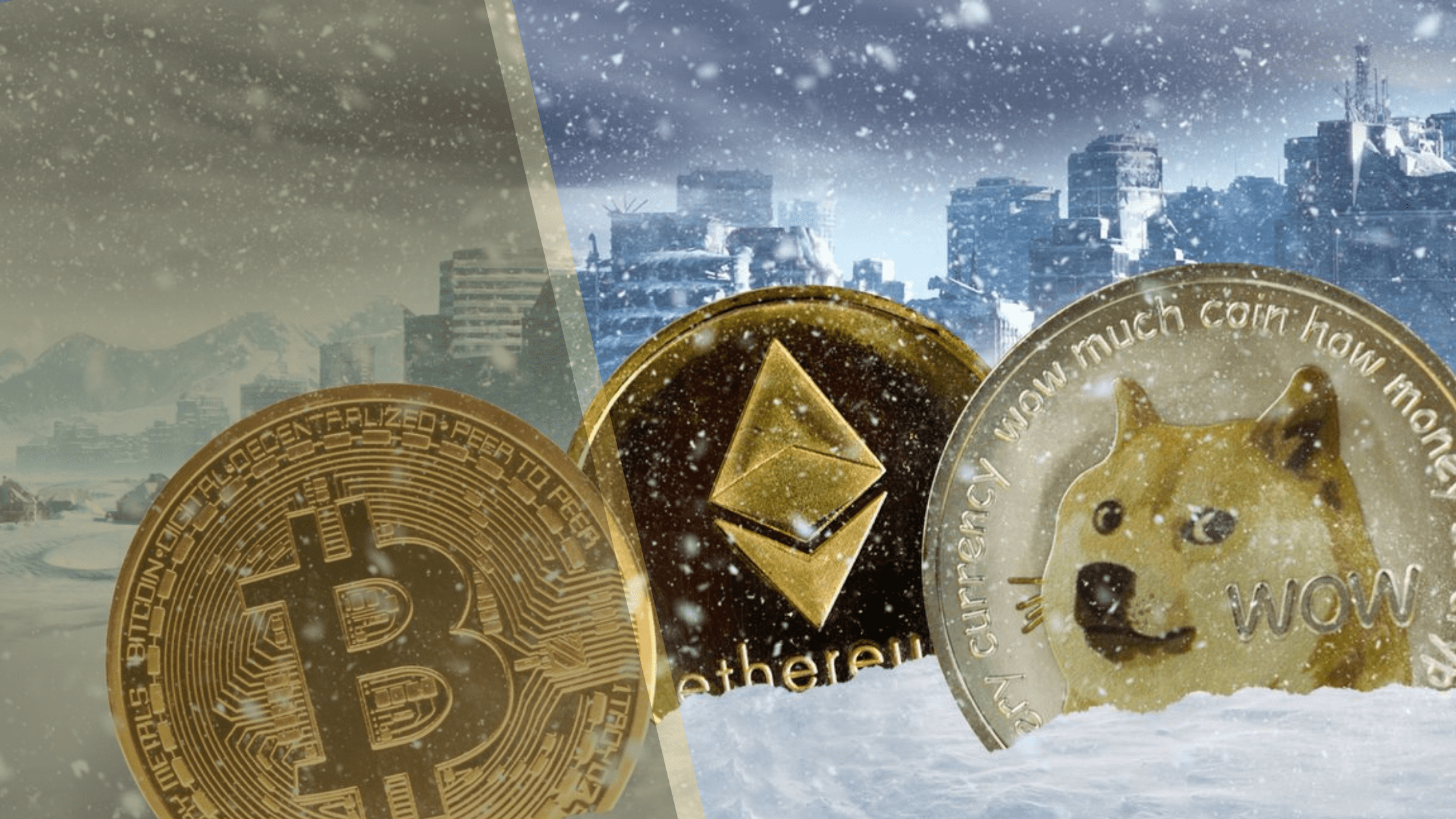 The Crypto Winter