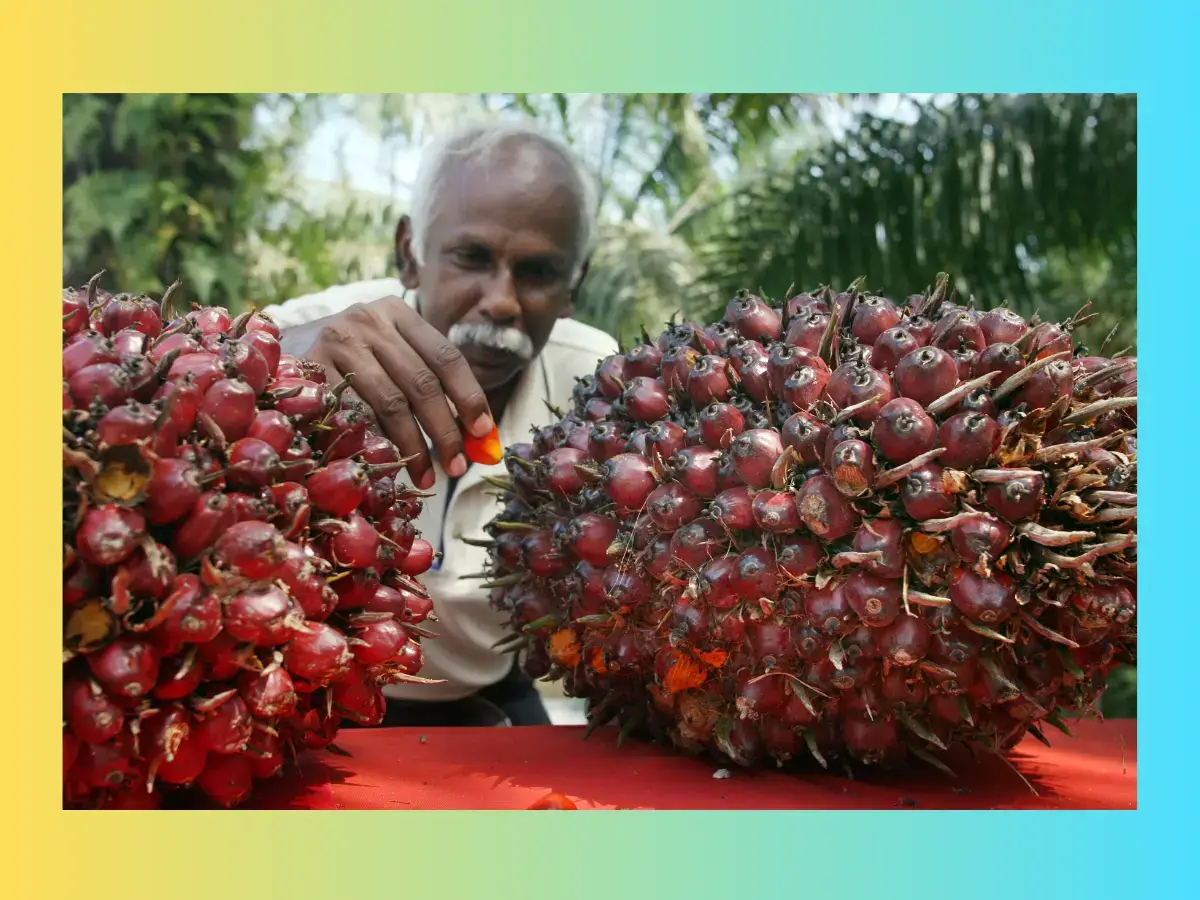 from-palm-oil-to-liquid-gold-telangana-farmer-s-cow-based-fertilizer-reaps-rich-rewards