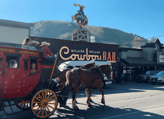 Wyomings' Cowboy BAR