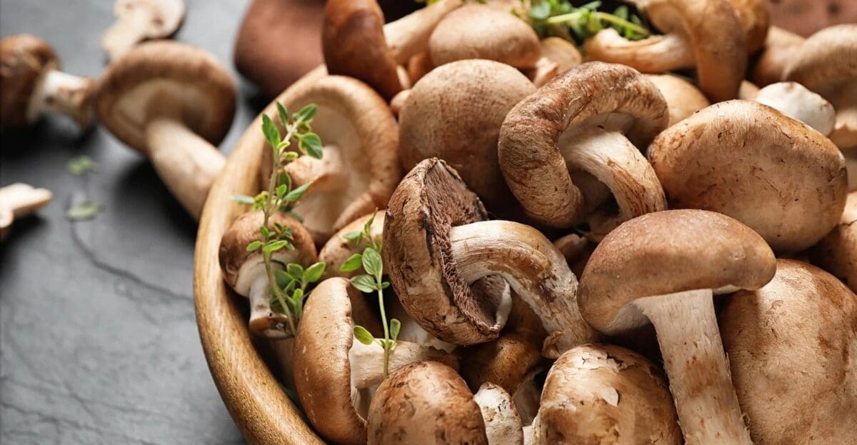 Mushrooms: Belly Fat-Burning Foods